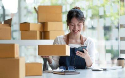 Savvy Tax Chick, LLCās Playbook to Choosing the Right Entity Type For Business Success